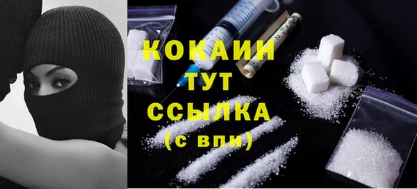 мет Инта