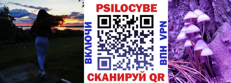 сайты даркнета Telegram  Медынь  Псилоцибиновые грибы GOLDEN TEACHER  как найти закладки 